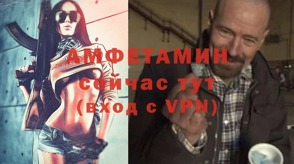 амф Инта